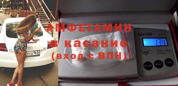 гашик Алексин