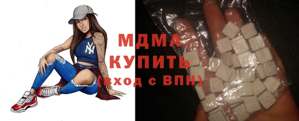 гашик Алексин