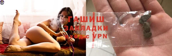 гашик Алексин