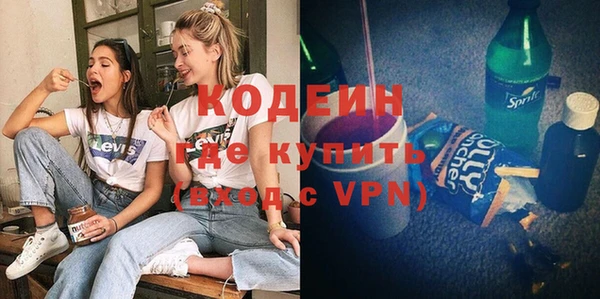 гашик Алексин