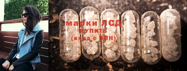 гашик Алексин