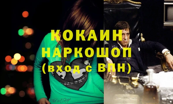 гашик Алексин