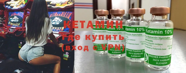 гашик Алексин
