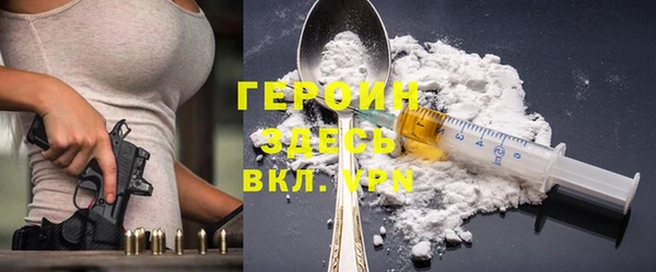 гашик Алексин